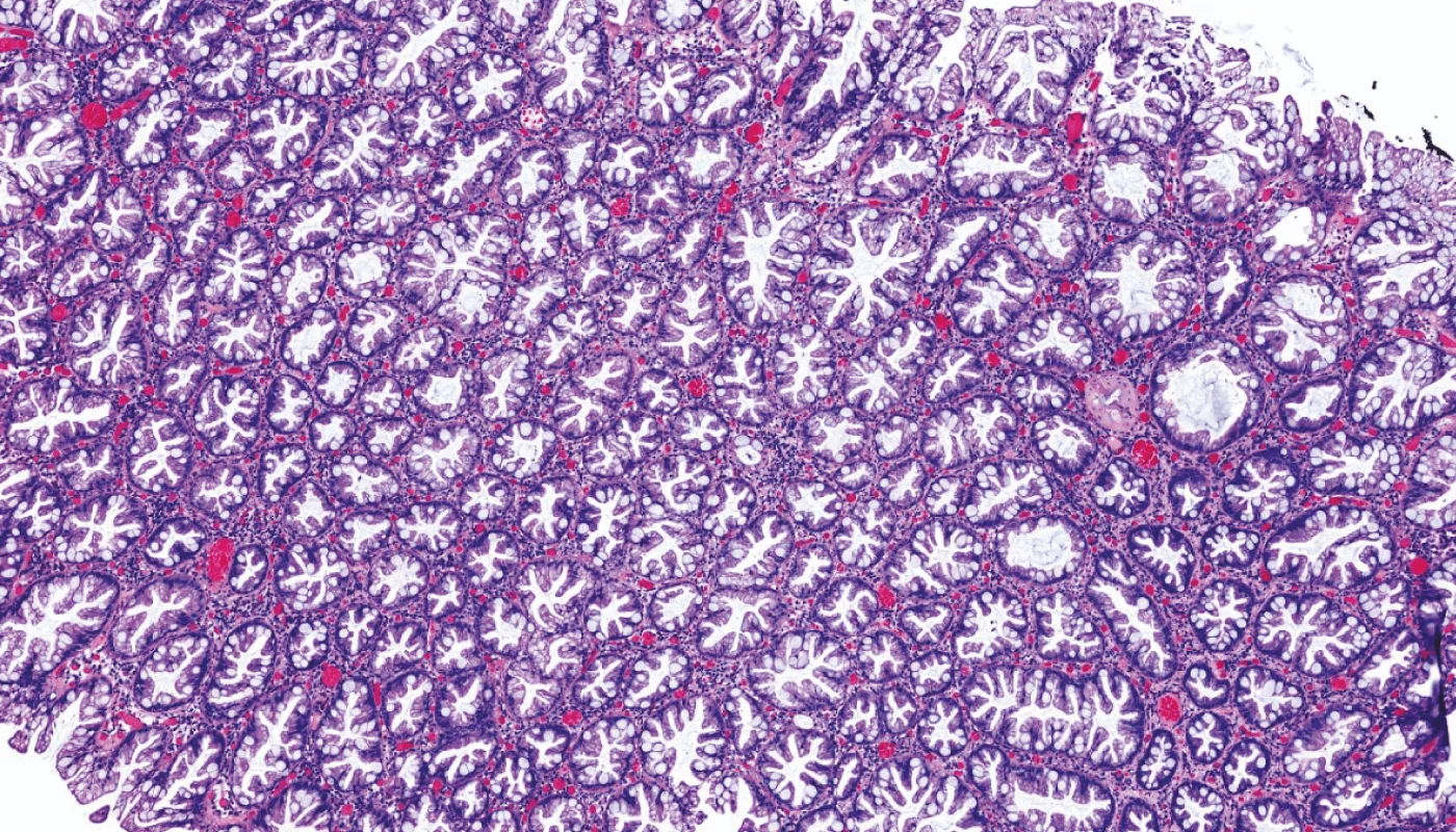 7103101/3555 | MOODLE