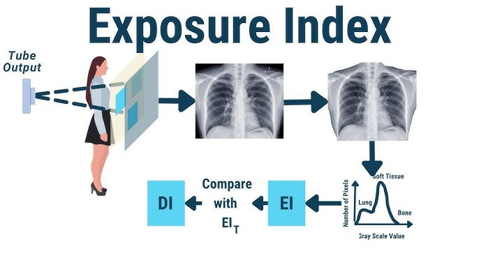 7108213/3672 | MOODLE