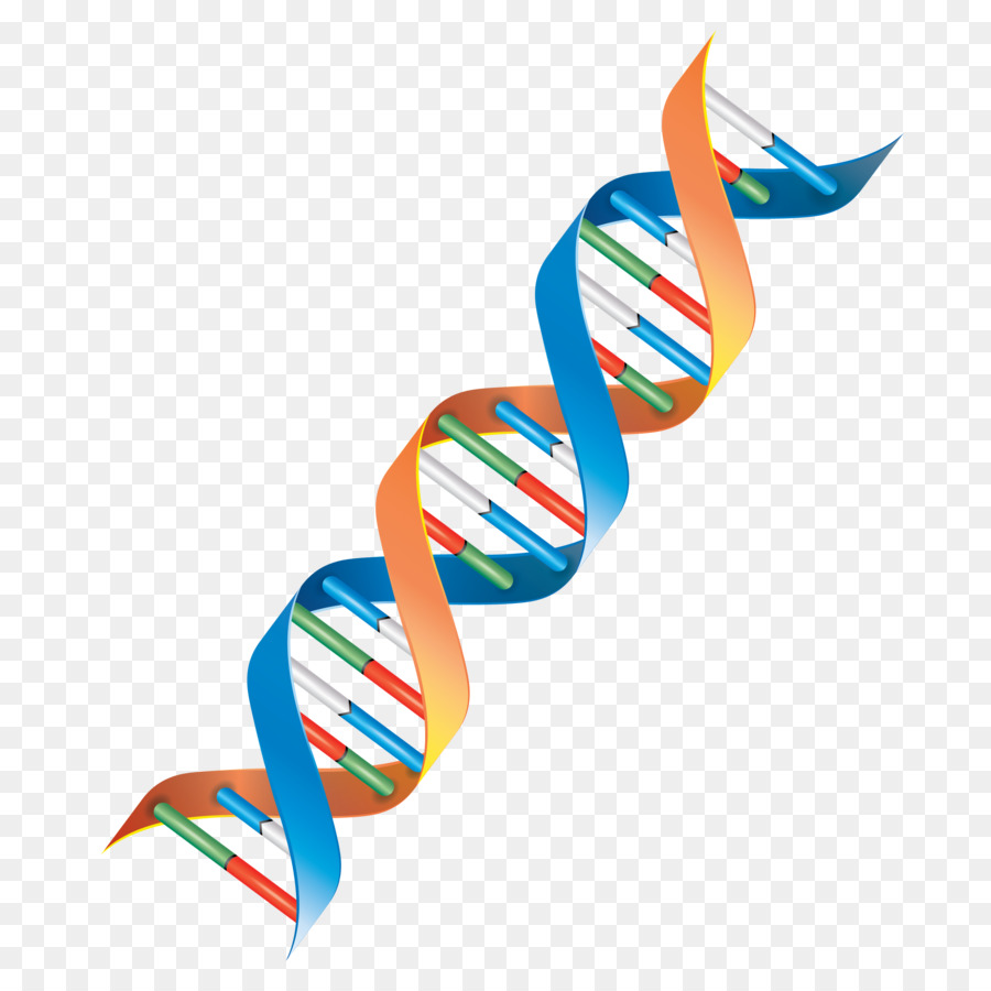 Org DNA